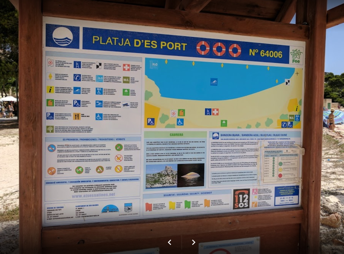 Der Strand von Platja Es Port 2